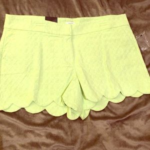 Crown & Ivy Lime Green Scalloped Essential Shorts